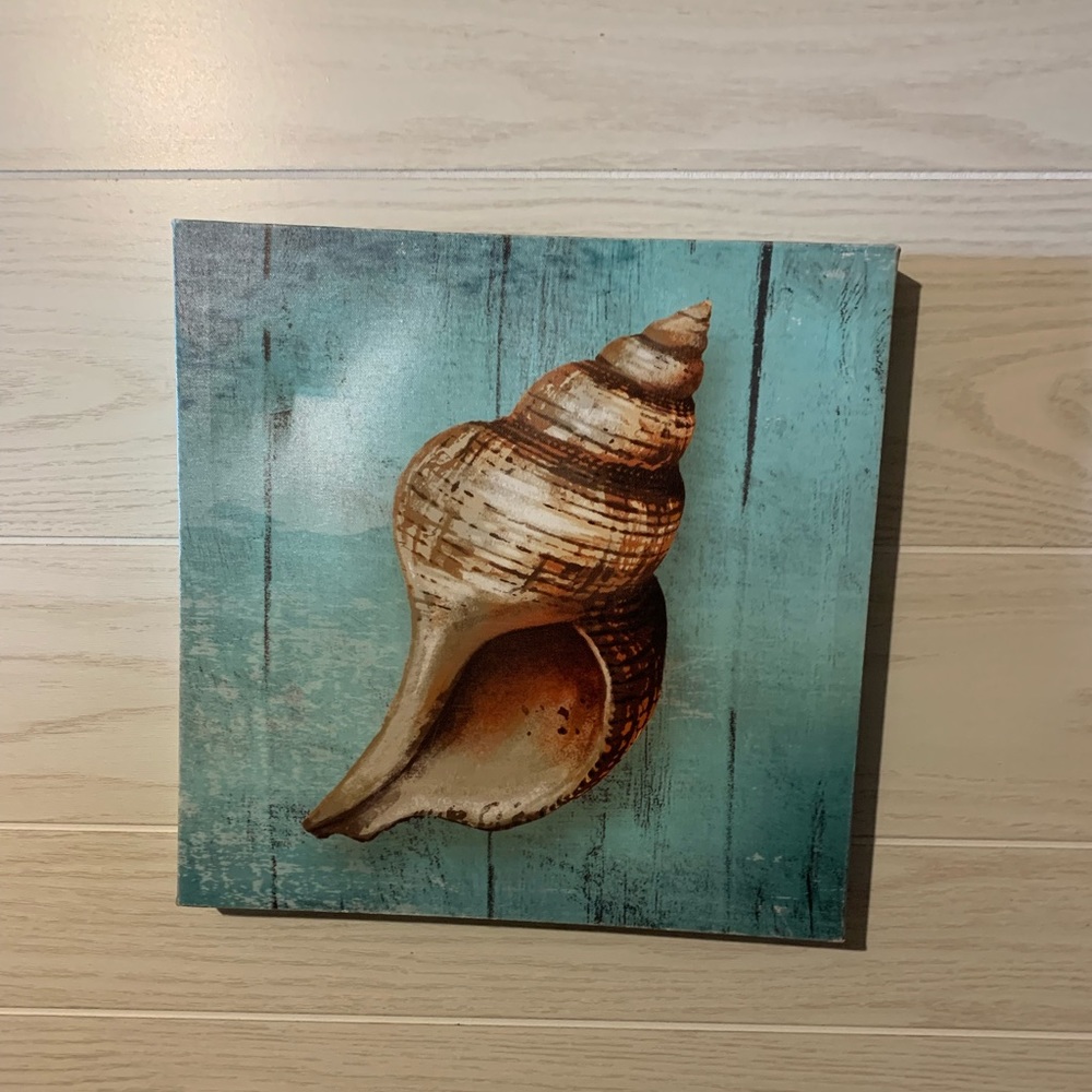 Canvas shell picture